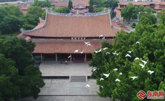 Aerial view of Kaiyuan Temple in Quanzhou