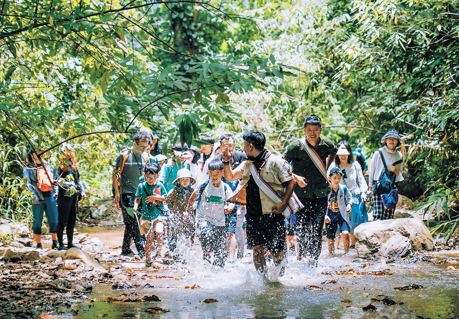 Travelers hiking through tropical rainforest in Jinuo Mountain, Xishuangbanna